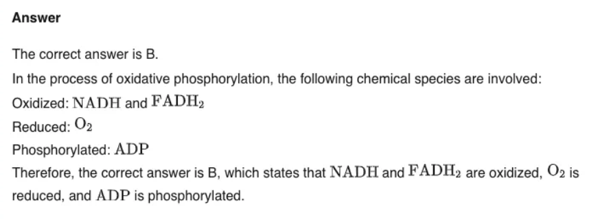 截屏2024-03-25 18.45.14.png