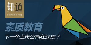 素質(zhì)教育：下一個上市公司在這里？