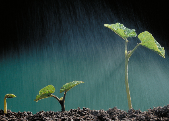 猿輔導公司獲騰訊4000萬美元投資，成K12直播首筆大單